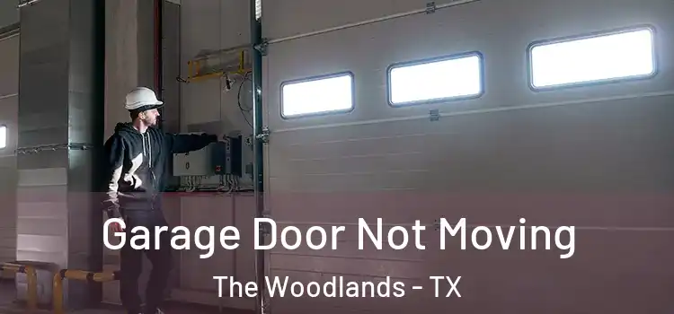  Garage Door Not Moving The Woodlands - TX