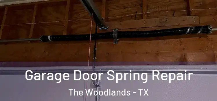  Garage Door Spring Repair The Woodlands - TX