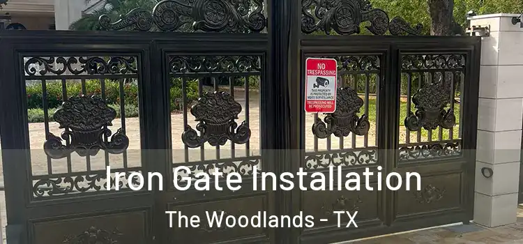 Iron Gate Installation The Woodlands - TX
